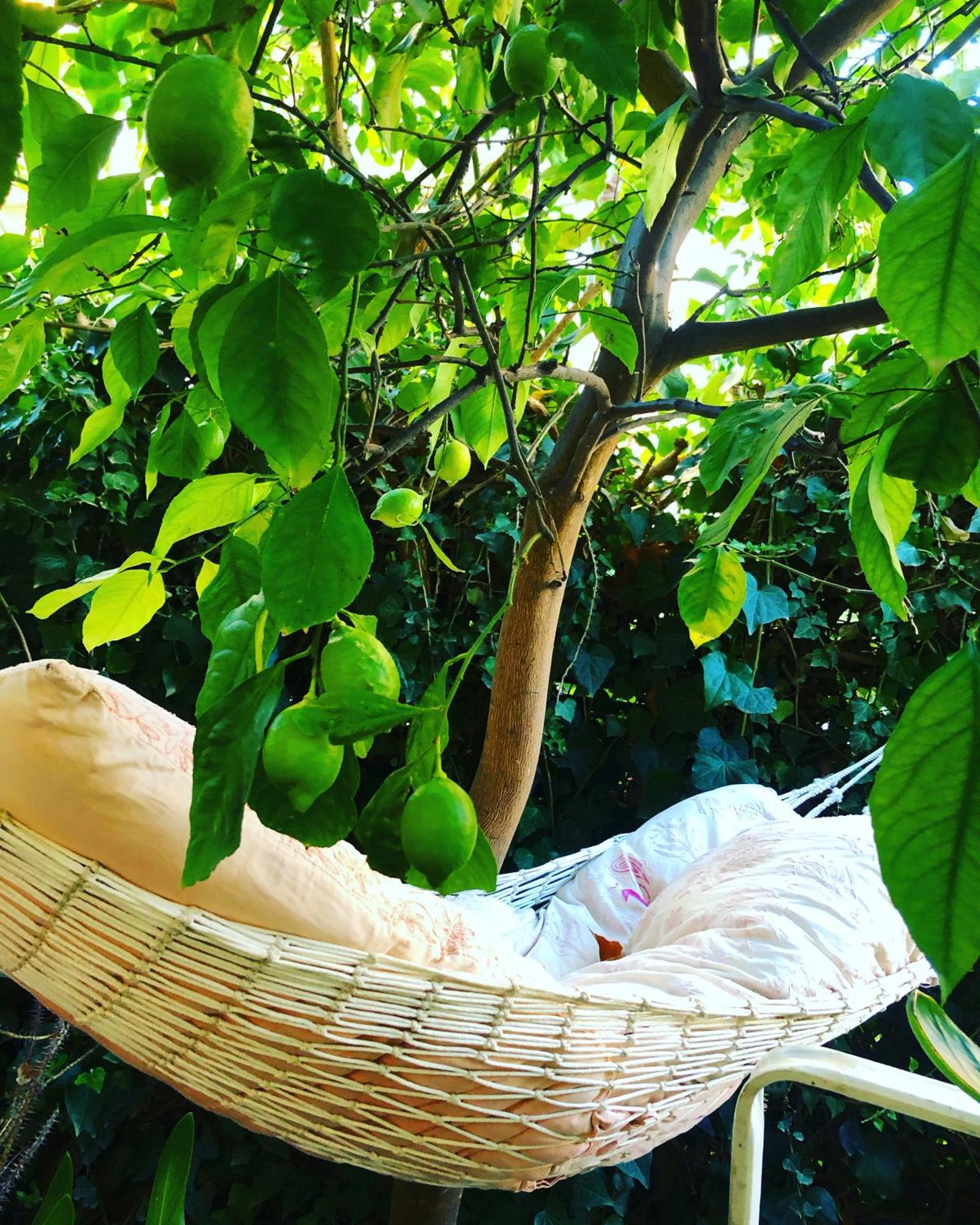 Penelope Homestay *